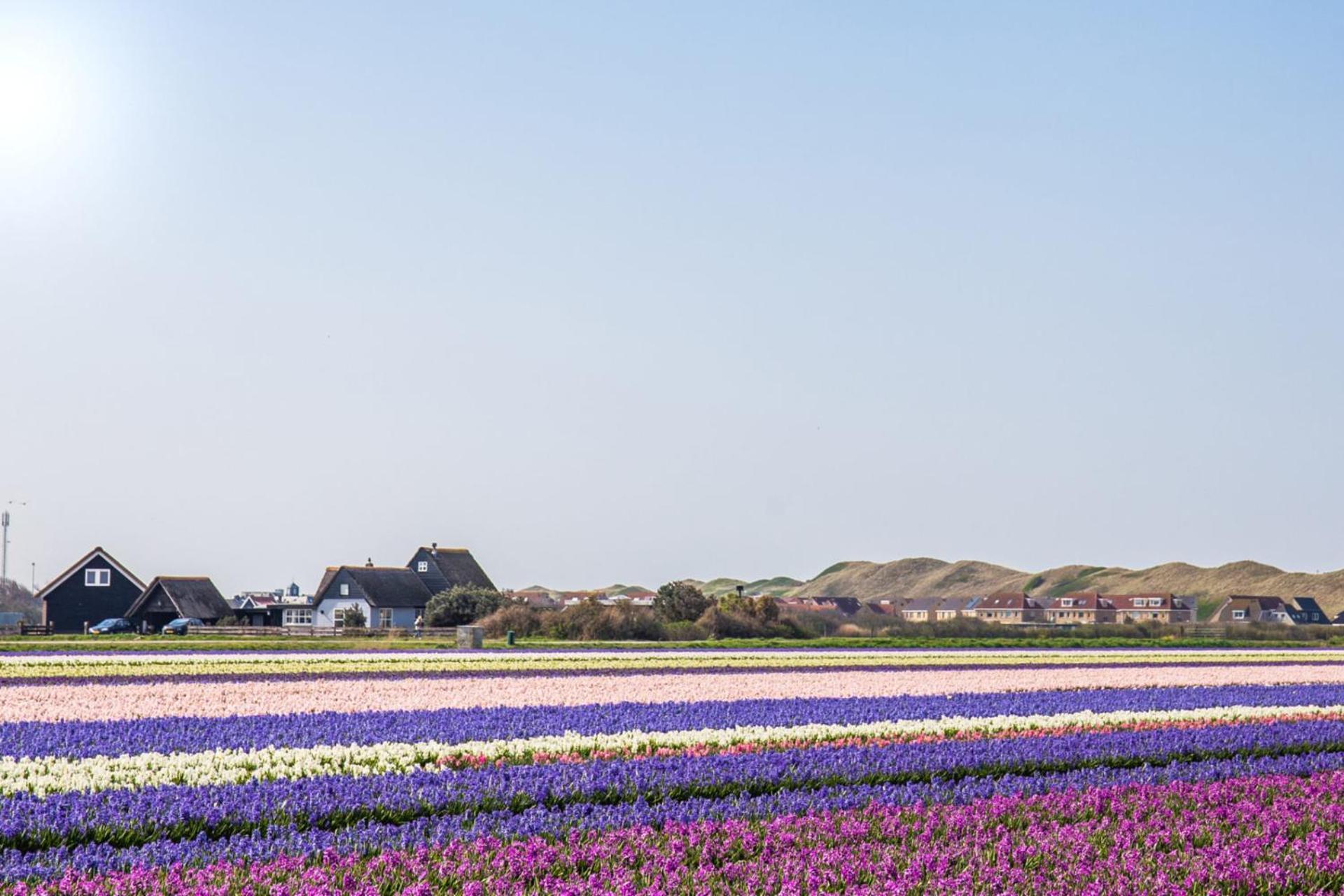 Beach Appartement 27 - Aan De Duinen, Callantsoog Aan Zee Exteriér fotografie