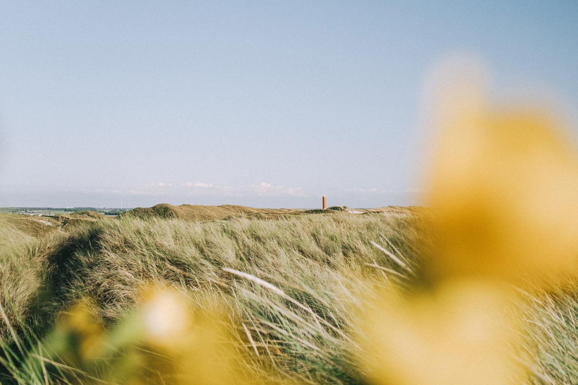 Beach Appartement 27 - Aan De Duinen, Callantsoog Aan Zee Exteriér fotografie